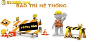 SV368 bảo trì lâu không?