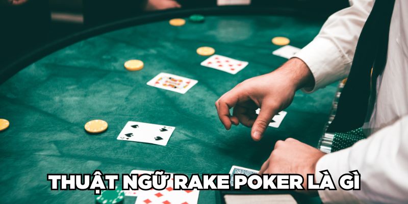 Thuật ngữ Rake Poker là gì?